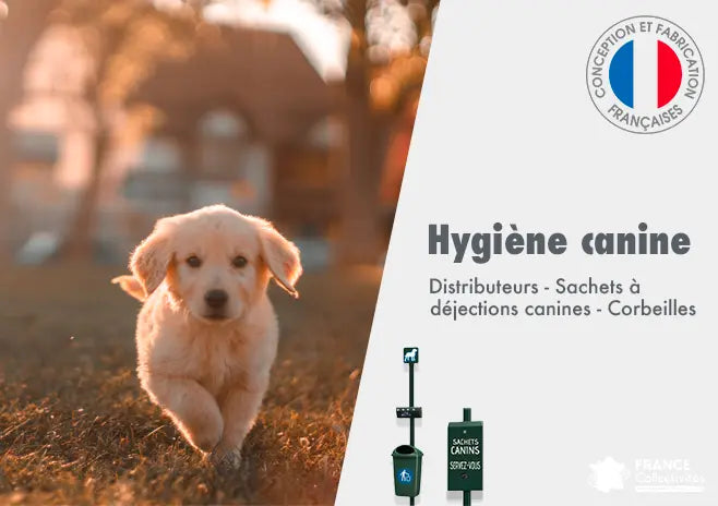 Borne d’hygiène canine installée dans un espace public, avec distributeur de sacs et corbeille pour déjections, destinée à maintenir la propreté des rues et parcs fréquentés par les chiens.