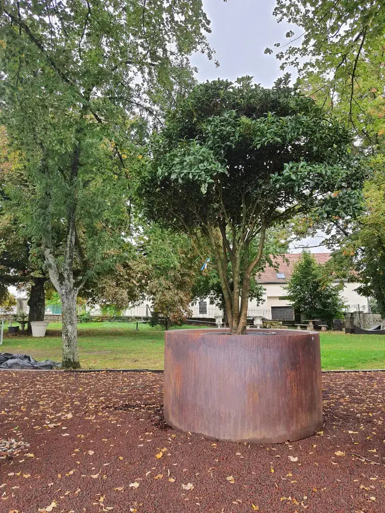Pot Rodéo finition effet corten (option sur devis)