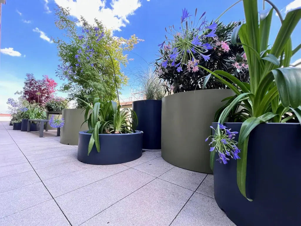 Pot décoratif Rodéo bas de grand diamètre