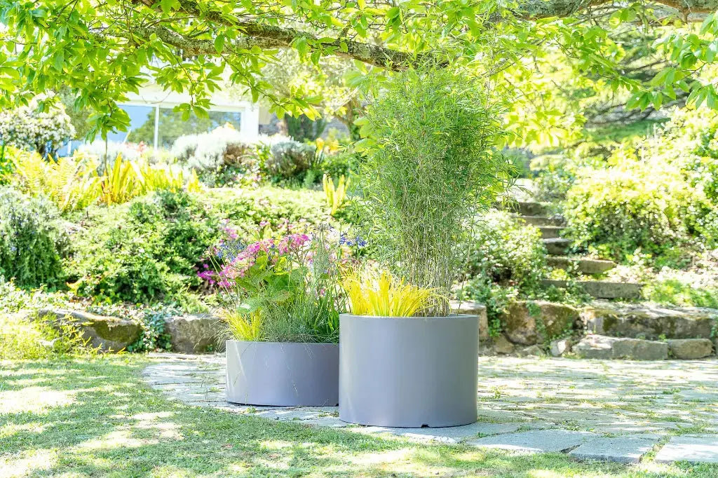Pot Rodéo taupe planté, vue de détail