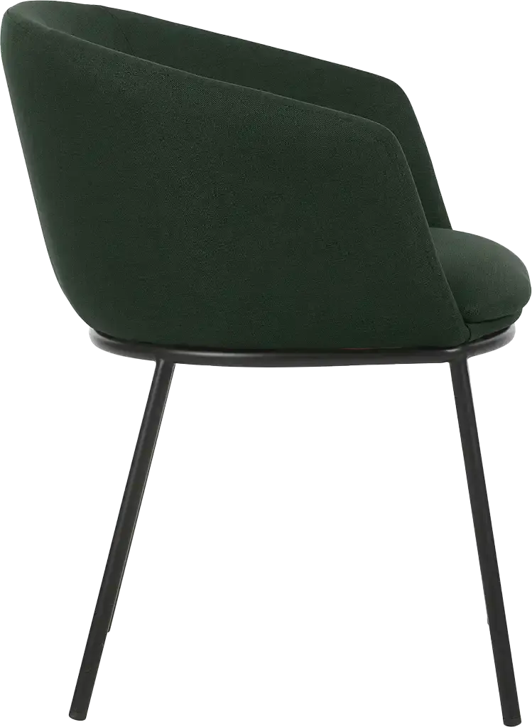 Fauteuil Arco pieds métal, vue de détail 2