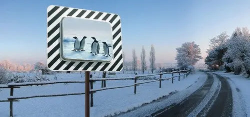 Miroir Antigivre Antibuée - France Collectivités