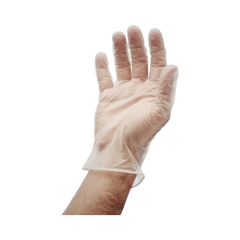 Gants vinyle translucide france collectivités