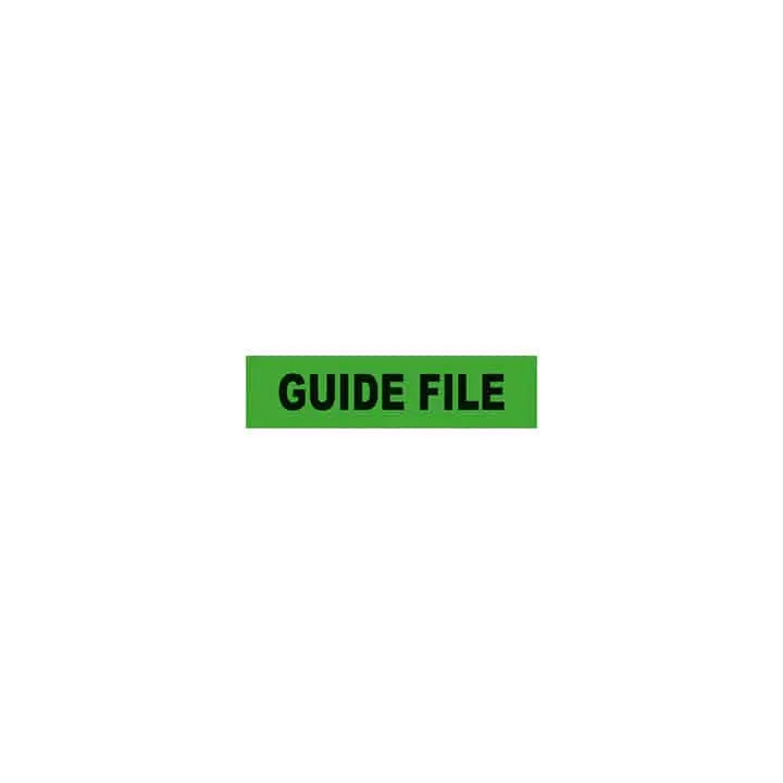 Brassard lame Guide-file vert Farmor BRA 9511 GF pour ouvrir la marche vers le point de rassemblement