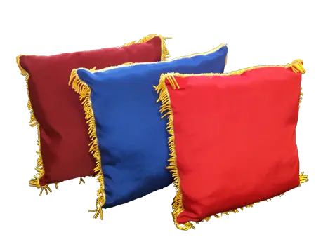 Coussin d'inauguration uni france collectivités