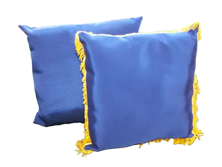 Coussin d'inauguration uni france collectivités