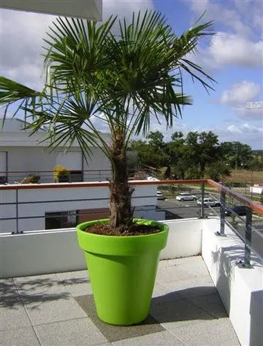 Gamme de pots décoratifs ronds disponibles en plusieurs tailles et coloris