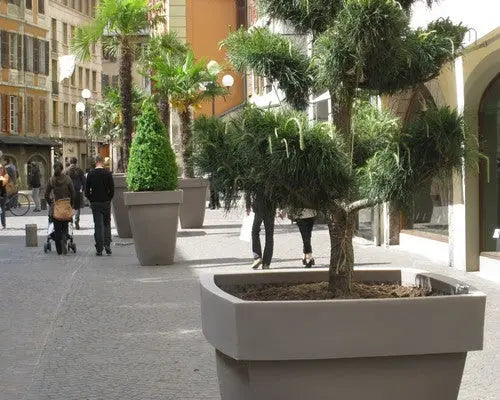 Pot décoratif carré 700 L grand volume pour arbres et plantations