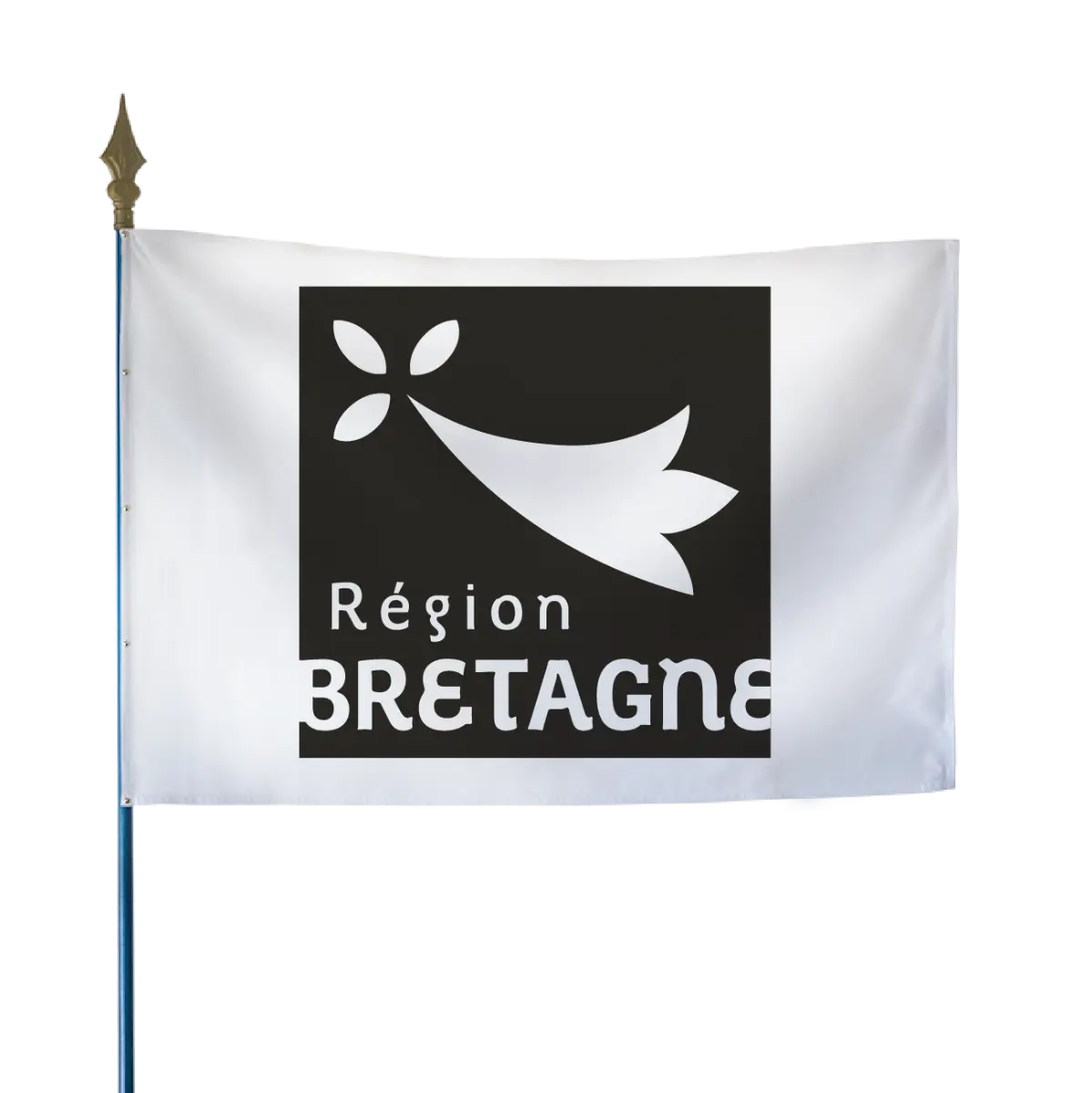 Le drapeau des régions administratives france collectivités