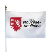 Le drapeau des régions administratives france collectivités