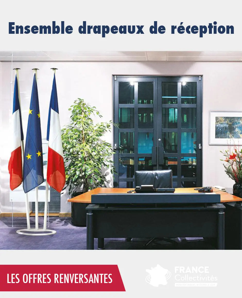 Promo ensemble drapeaux de réception france collectivités