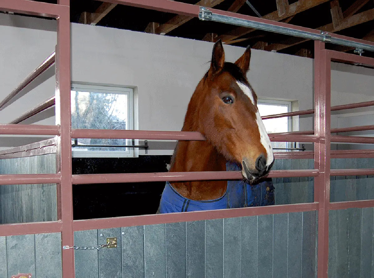 Planches de box cheval Hanit, vue de détail – France Collectivités