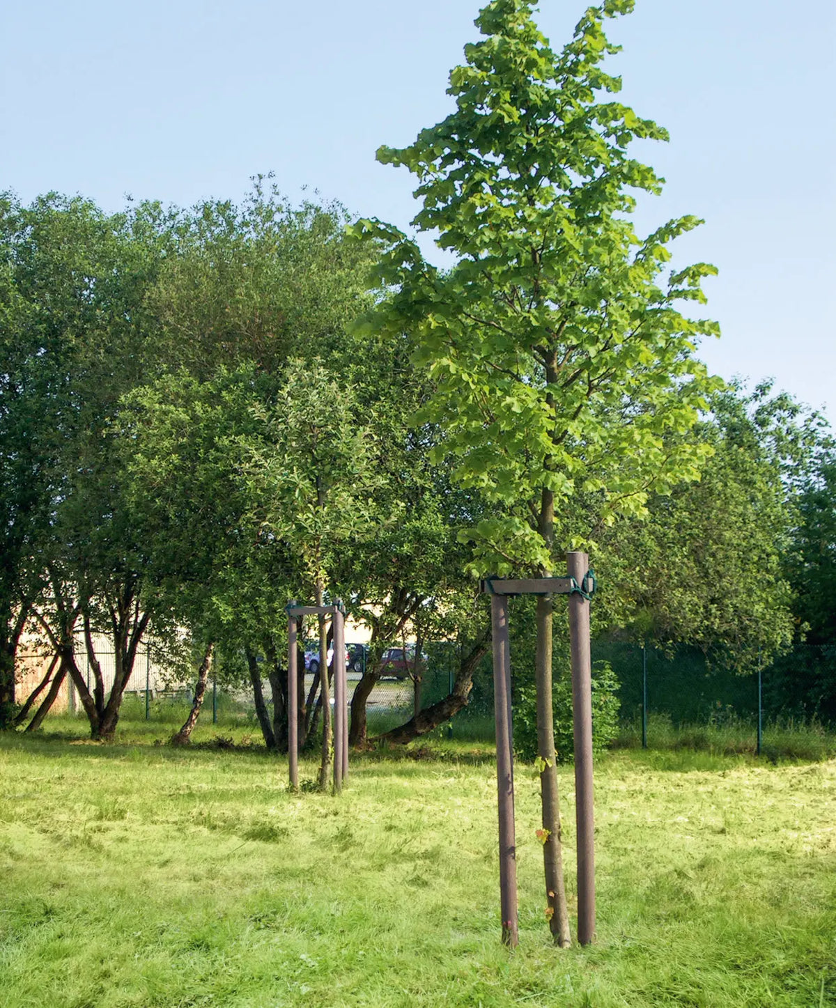 Poteau de clôture rond sans échardes, vue complémentaire – France Collectivités