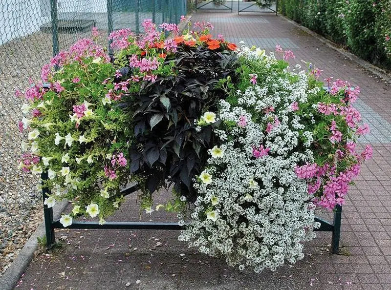 Jardinière rebord fenêtre mur ou barrière de ville (lot de 4) - France Collectivités