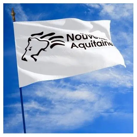 Le drapeau des régions administratives france collectivités