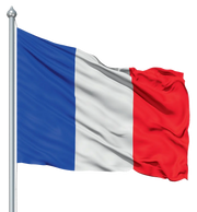 Pavillon France 100 x 150 cm avec ou sans franges dorées france collectivités