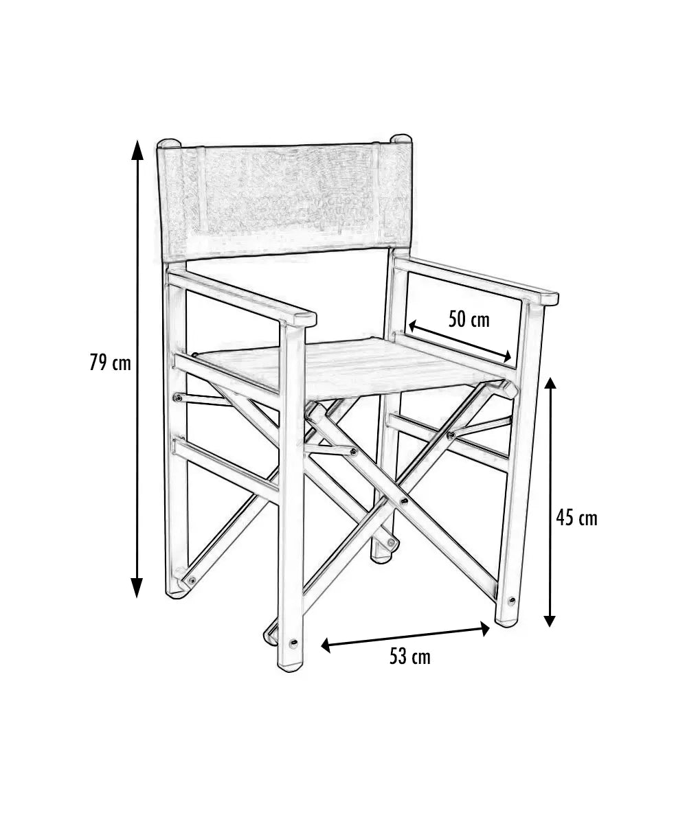 Fauteuil metteur en scène Alu france collectivités