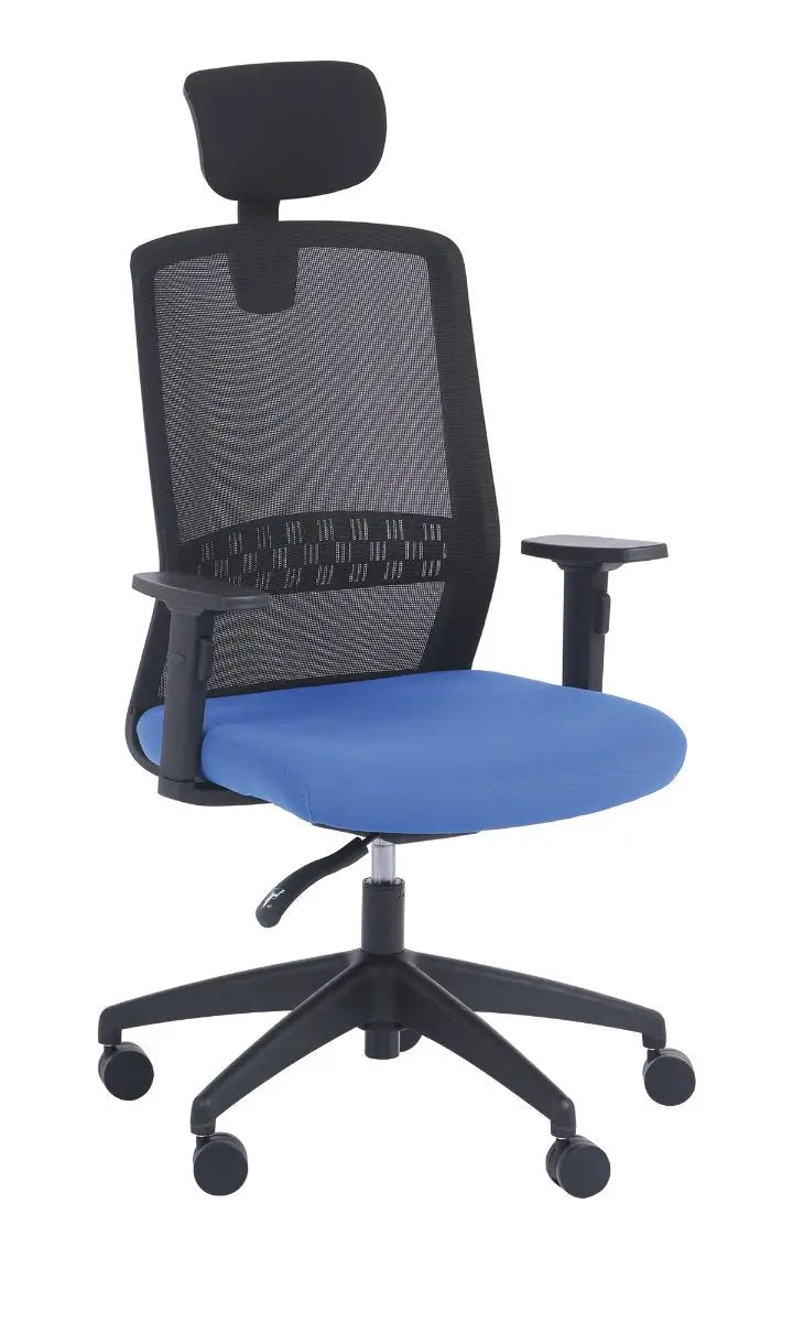 Chaise de bureau Scott ergonomique avec soutien lombaire réglable