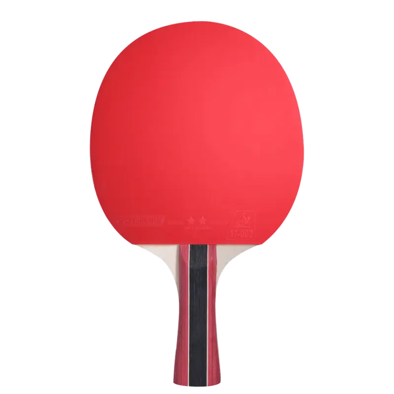 Raquette Sport 300 à revêtement homologué ITTF 2 étoiles