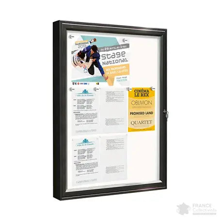Vitrine Classique battante murale ou sur poteaux Procity