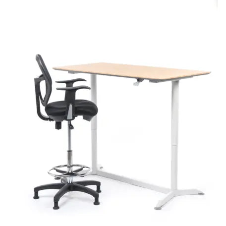 Fauteuil assis-debout réglable en hauteur avec repose pieds Tanix france collectivités