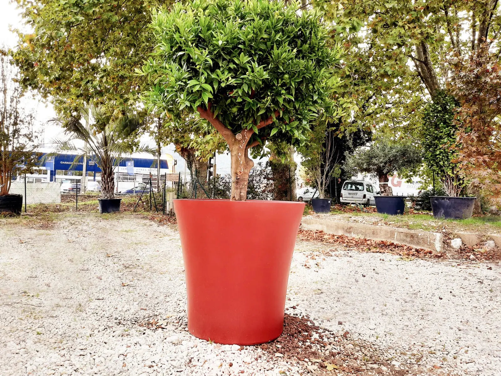 Pot vogue - France Collectivités