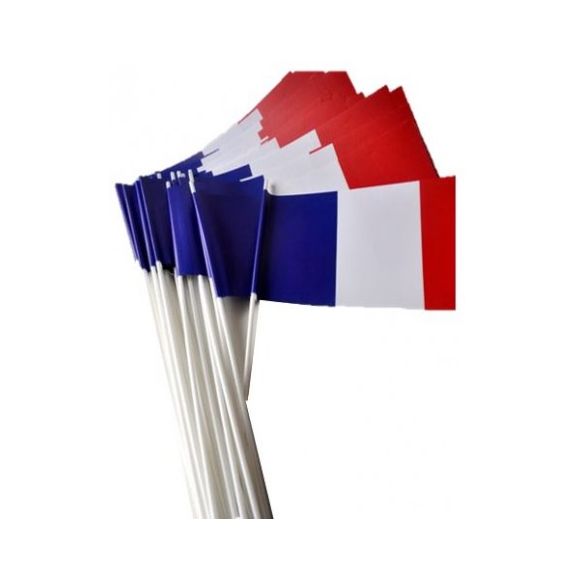 lot-de-drapeaux-francais-en-papier-a-agiter