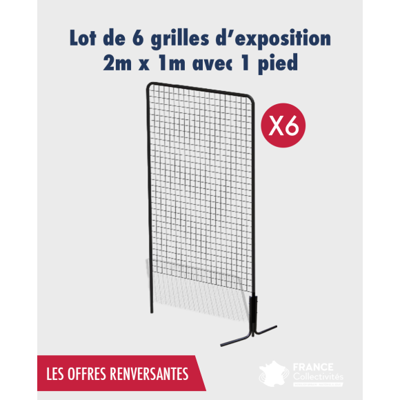 Offre renversante grille d'exposition