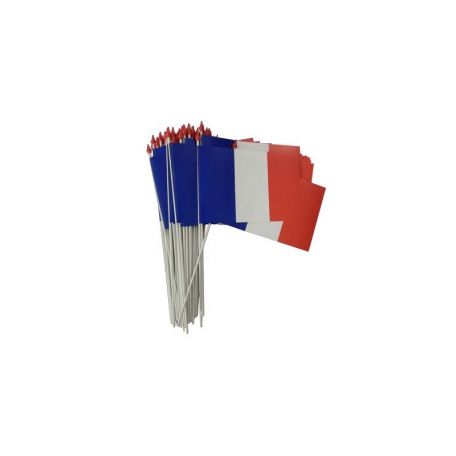 Ligne de drapeau France - 10 mètres France - Décoration drapeau français -  Drapeaux de